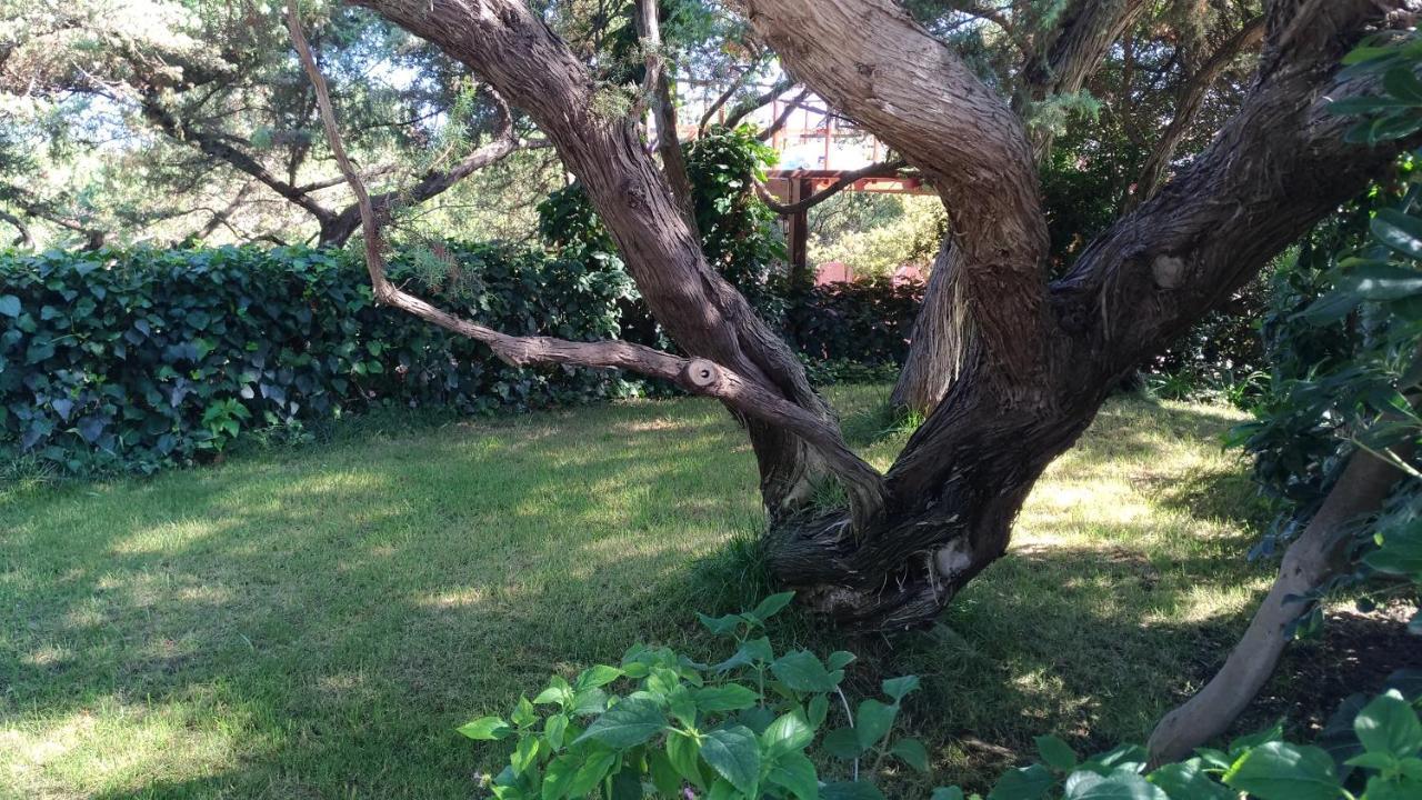 Casa vacanze I Ginepri Holiday